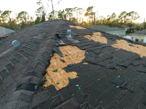 Best Skylight Installation and Repair  in East Riverdale, MD